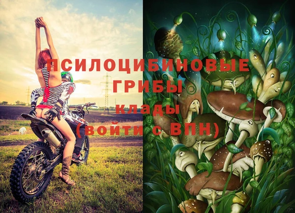 эйфоретик Алексин