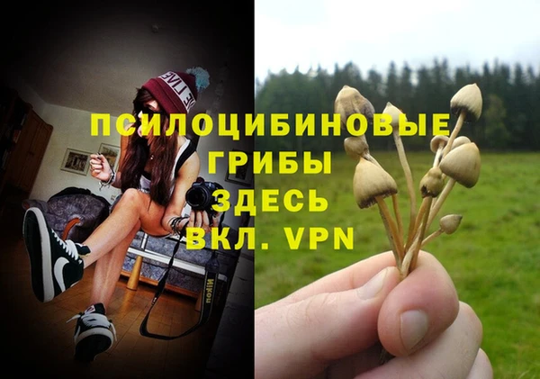 круглые Алзамай