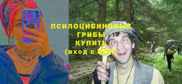 круглые Алзамай