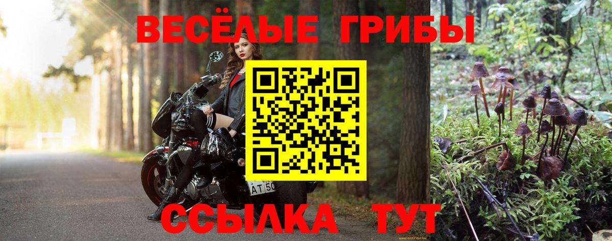 Галлюциногенные грибы Psilocybine cubensis  Вход с VPN  Псилоцибиновые грибы Psilocybine cubensis  Южно-Сахалинск 